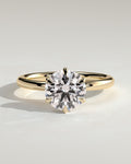 Round Diamond Encircled Hidden Halo Engagement Ring